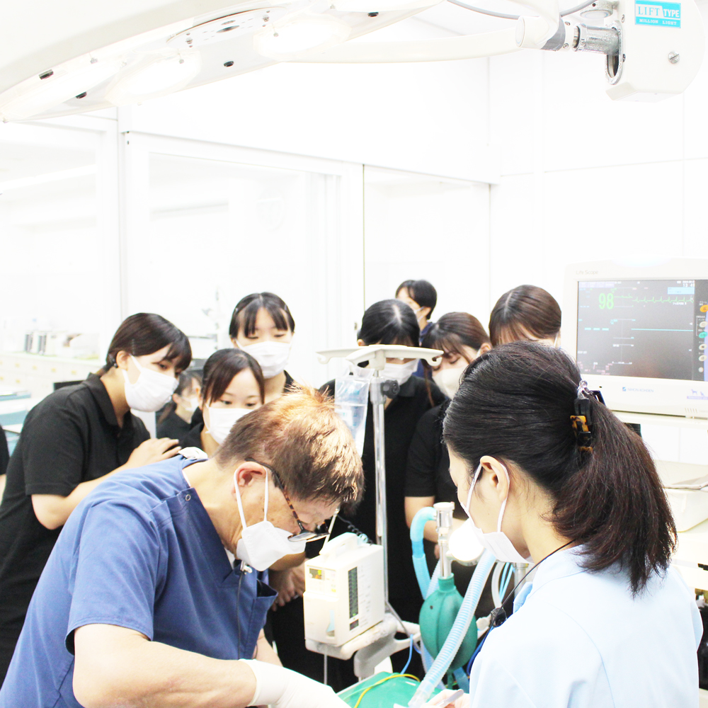 歯石除去処置の勉強会☆